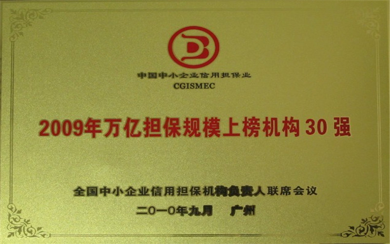 2009年萬億擔(dān)保規(guī)模上榜機構(gòu)30強